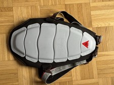 Dainese Rückenprotektor